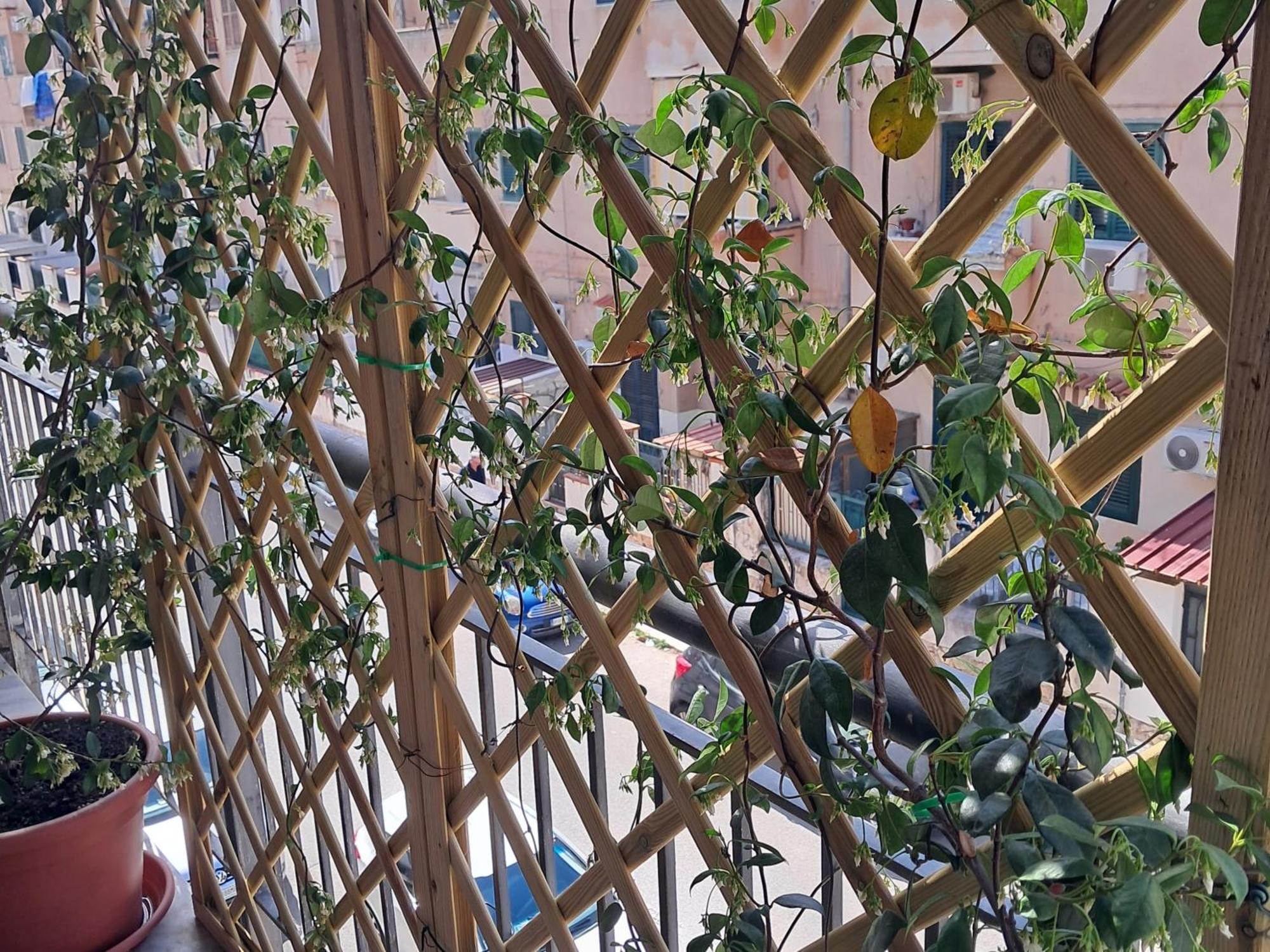 Apartmán Casa Zia Rosetta Palermo Exteriér fotografie